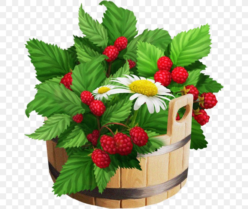Strawberry Frutti Di Bosco Raspberry Fruit, PNG, 662x692px, Strawberry, Amora, Auglis, Berry, Blackberry Download Free