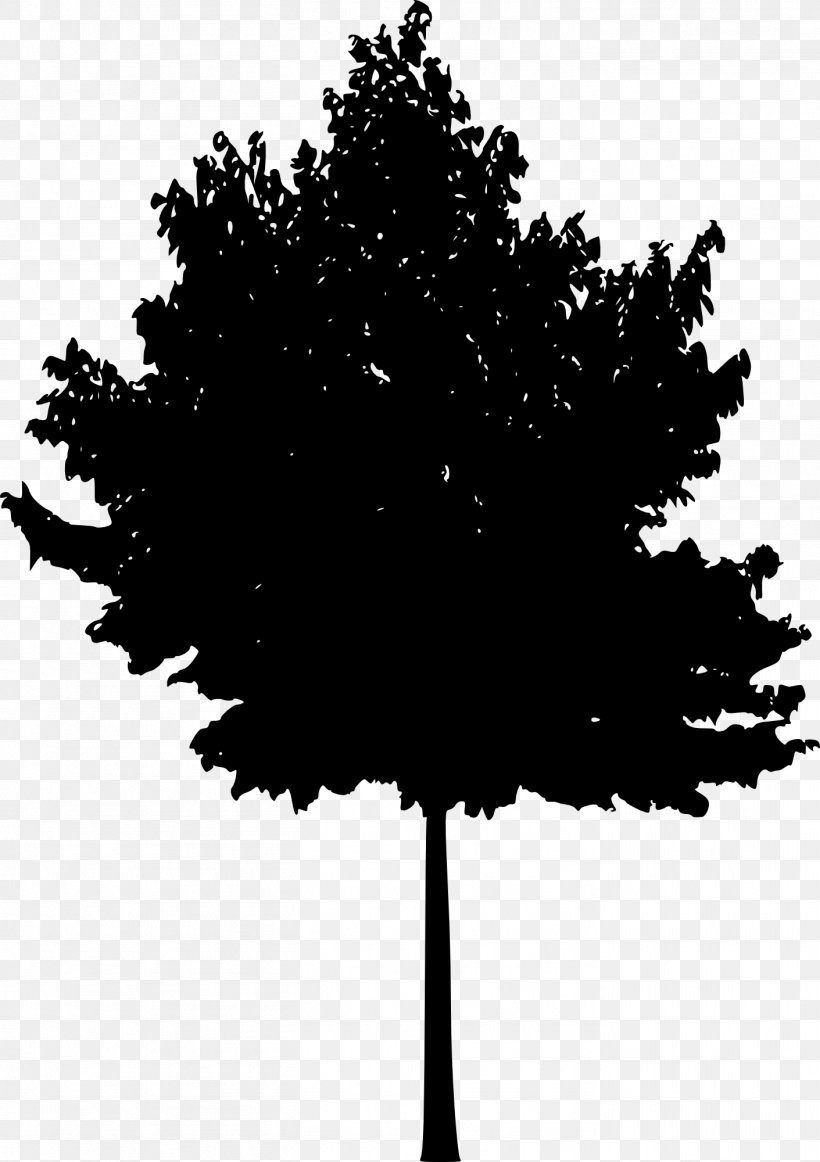 Tree Woody Plant Silhouette, PNG, 1411x2000px, Tree, Black And White, Branch, Conifer, Conifers Download Free
