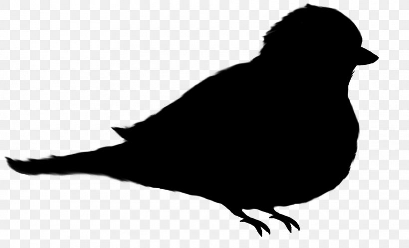 Beak Fauna Silhouette Font, PNG, 1865x1132px, Beak, Bird, Blackbird, Crowlike Bird, Fauna Download Free