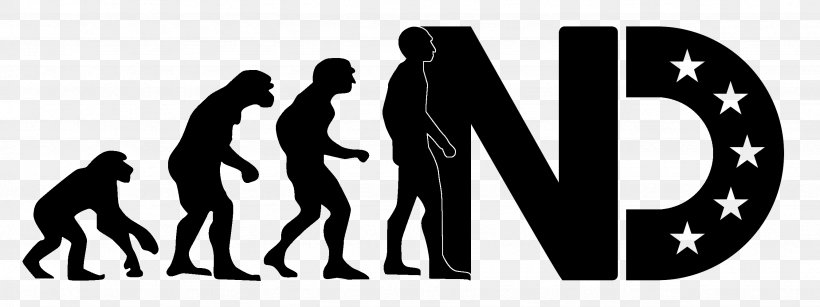 Chimpanzee Human Evolution Homo Sapiens Hominini, PNG, 2669x1000px, Chimpanzee, Adaptation, Biology, Bipedalism, Black And White Download Free