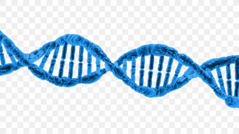 DNA Epigenetics Genetic Testing Transcription, PNG, 1200x675px, Dna, Aqua, Biology, Blue, Crispr Download Free