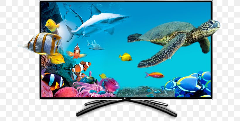 LED-backlit LCD High-definition Television Light-emitting Diode Television Set, PNG, 706x415px, 4k Resolution, Ledbacklit Lcd, Advertising, Apple Tv, Aquarium Download Free