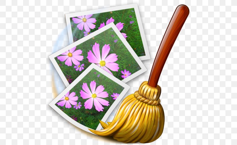 MacOS Apple Photos Aperture Adobe Photoshop IPhoto, PNG, 500x500px, Watercolor, Cartoon, Flower, Frame, Heart Download Free