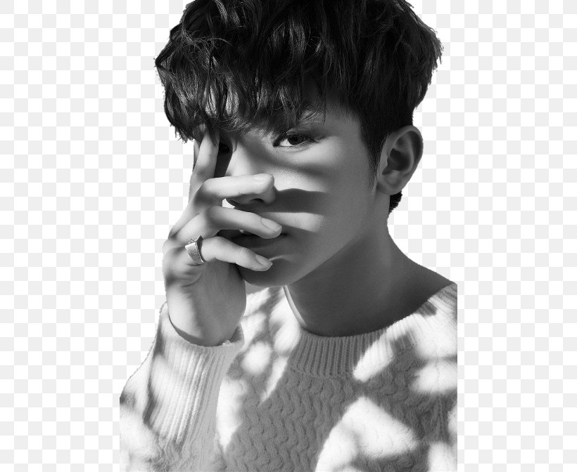 Seventeen Pledis Entertainment Black And White 17 Carat Call Call Call!, PNG, 480x672px, 17 Carat, Seventeen, Black And White, Black Hair, Cheek Download Free