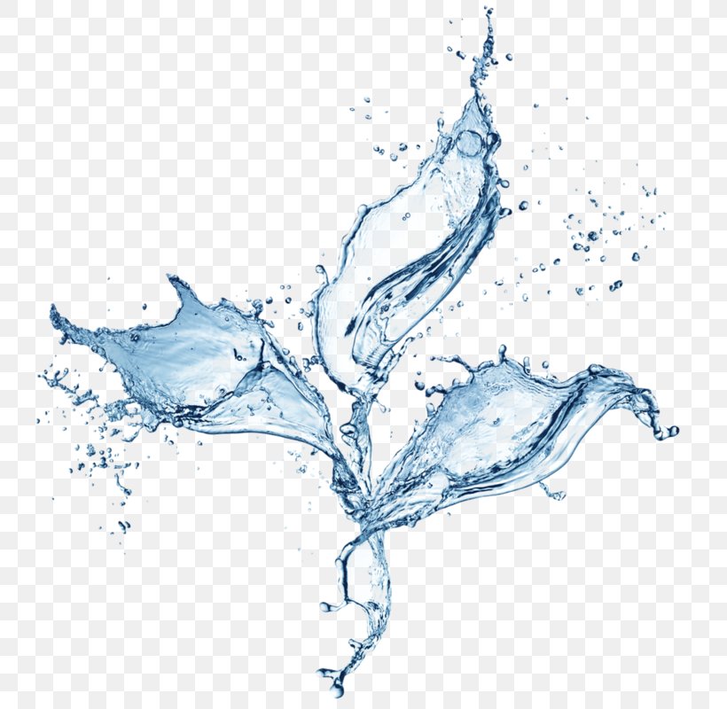 Water, PNG, 800x800px, Water, Area, Art, Branch, Editing Download Free