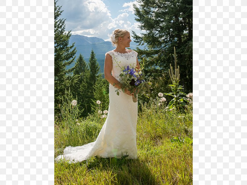Wedding Dress Bride Photo Shoot, PNG, 1024x768px, Wedding Dress, Bridal Clothing, Bride, Dress, Flower Download Free