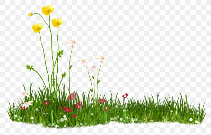 Download Preview Clip Art, PNG, 1280x822px, Preview, Flower, Flowering Plant, Grass, Grass Family Download Free