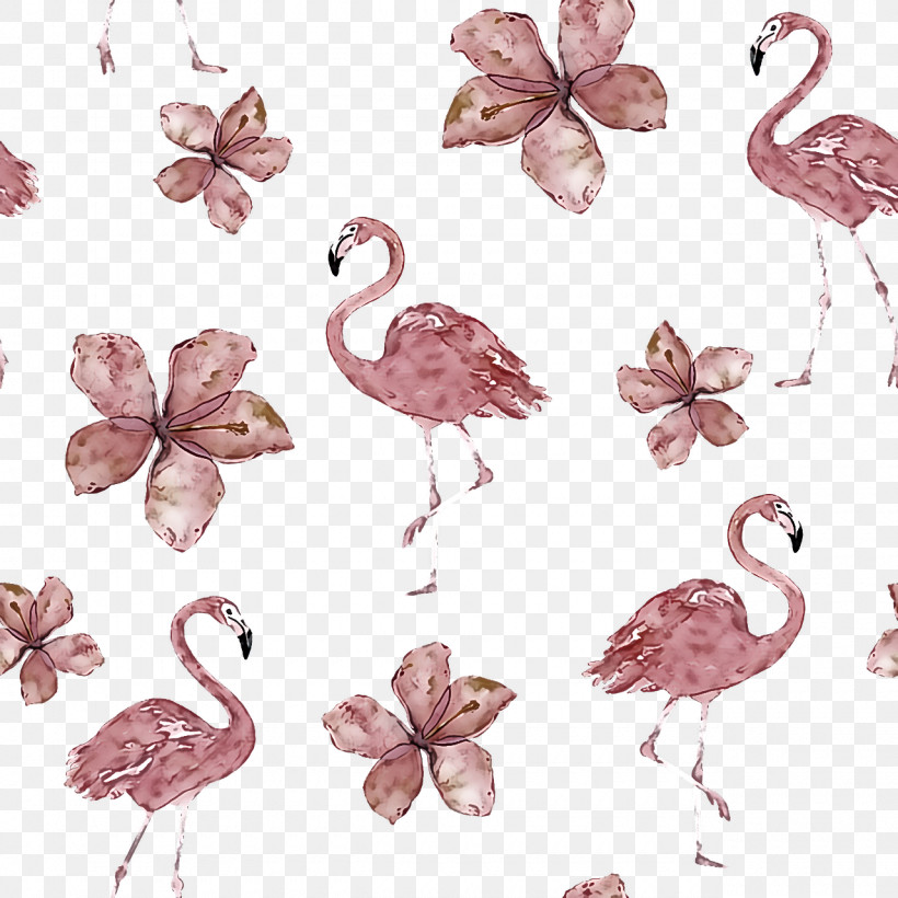 Flamingo, PNG, 1280x1280px, Birds, Beak, Biology, Feather, Flamingo Download Free
