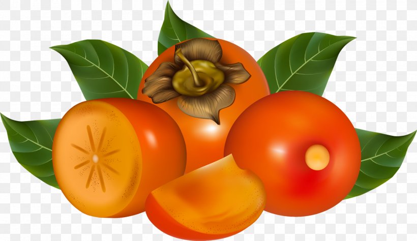 Fruit Persimmon Clip Art, PNG, 1500x868px, Fruit, Berry, Bush Tomato, Citrus, Clementine Download Free