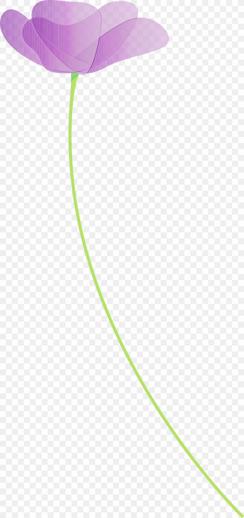 Green Line, PNG, 1414x3000px, Poppy, Flower, Green, Line, Paint Download Free