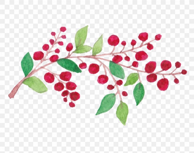 Holly Flowering Plant Leaf Clip Art Plant Stem, PNG, 1024x809px, Holly, Berry, Botany, Branch, Flower Download Free