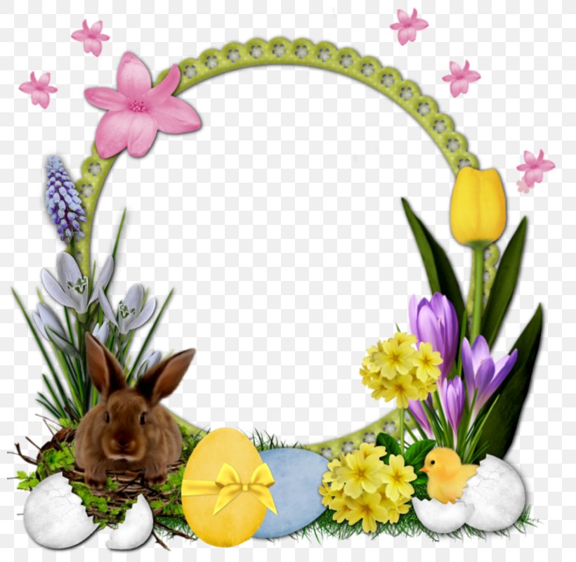 Picture Frames Cranberry Easter, PNG, 800x800px, Picture Frames, Cranberry Easter, Drawing, Easter, Easter Bunny Download Free
