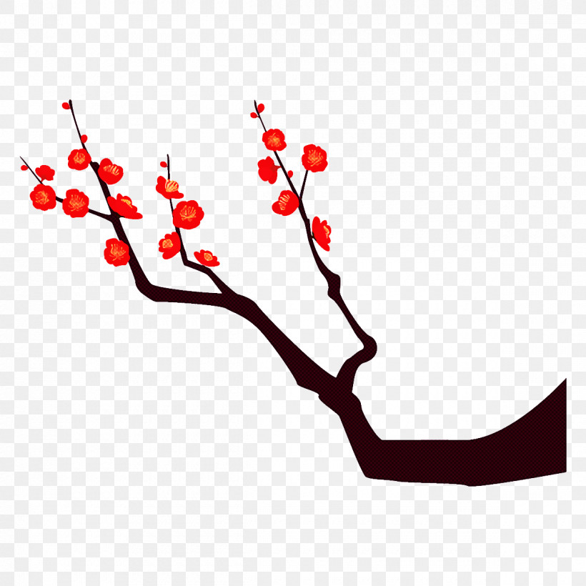 Plum Branch Plum Winter Flower, PNG, 1200x1200px, Plum Branch, Branch, Cherry Blossom, Flower, Plant Download Free