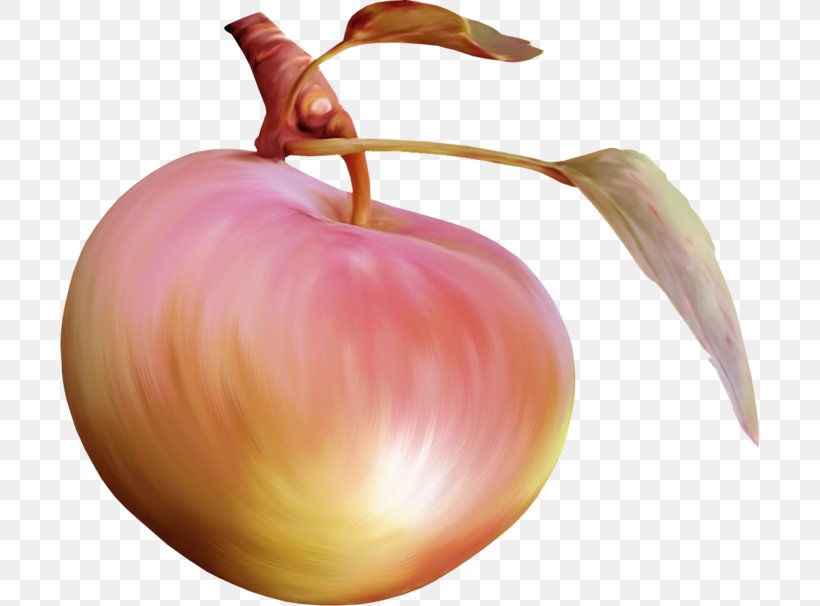 Still Life Photography Onion Apple, PNG, 699x606px, Still Life Photography, Apple, Food, Fruit, Onion Download Free