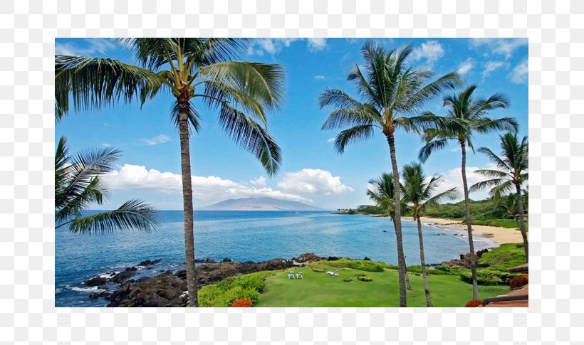 Wailea, Hawaii Makena, Hawaii Makena Surf Chang's Beach Hotel, PNG, 705x485px, Wailea Hawaii, Arecales, Bay, Beach, Caribbean Download Free