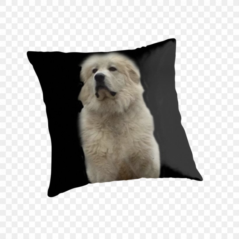 Pillow T-shirt Skull Dog Breed Feather, PNG, 875x875px, Pillow, Bts, Cushion, Dog, Dog Breed Download Free