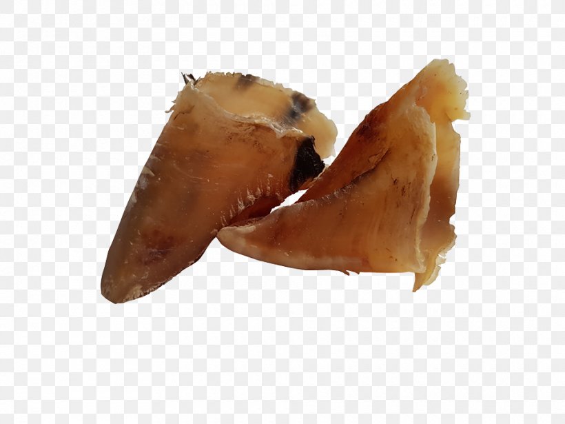 Raw Foodism Dog Food Raw Feeding Pig's Ear, PNG, 960x720px, Raw Foodism, Diet, Dog, Dog Food, Ear Download Free