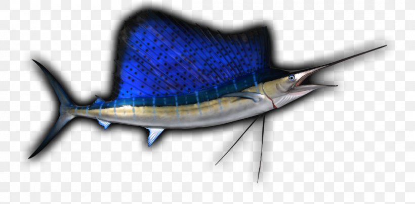 Swordfish, PNG, 1100x543px, Swordfish, Billfish, Bony Fish, Fish, Perch Like Fish Download Free