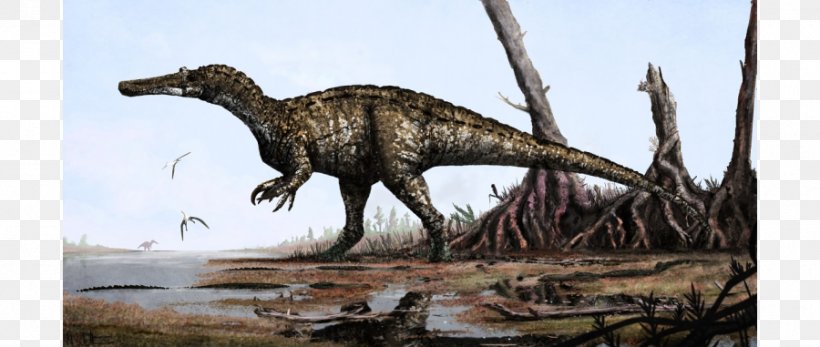 Baryonyx Spinosaurus Suchomimus Irritator Dinosaur, PNG, 900x381px, Baryonyx, Cretaceous, Dinosaur, Early Cretaceous, Extinction Download Free