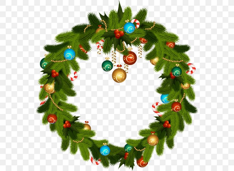 Christmas Ornament Christmas Decoration Clip Art, PNG, 570x600px, Christmas, Christmas Decoration, Christmas Ornament, Christmas Tree, Conifer Download Free