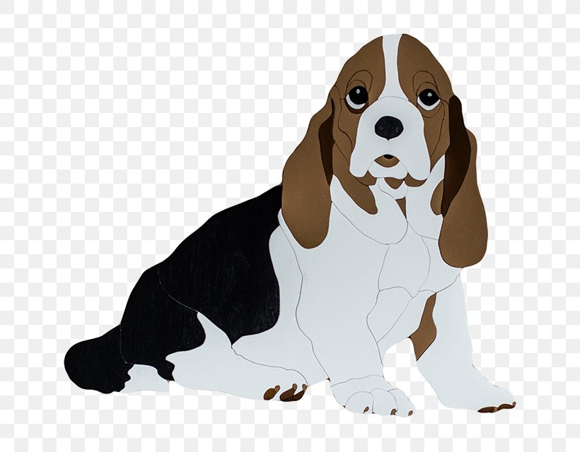 Dog Breed Beagle Puppy Companion Dog Snout, PNG, 640x640px, Dog Breed, Artois Hound, Basset Hound, Beagle, Breed Download Free