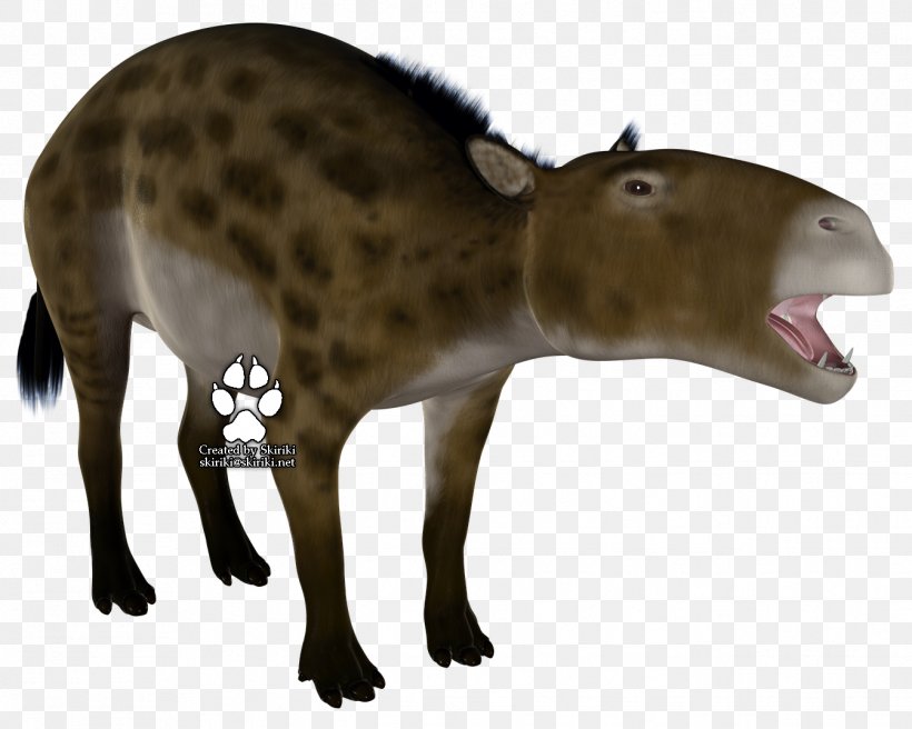 Eurohippus Propalaeotherium Ungulate Animal Extinction, PNG, 1344x1076px, Propalaeotherium, Animal, Animal Figure, Carnivora, Carnivoran Download Free