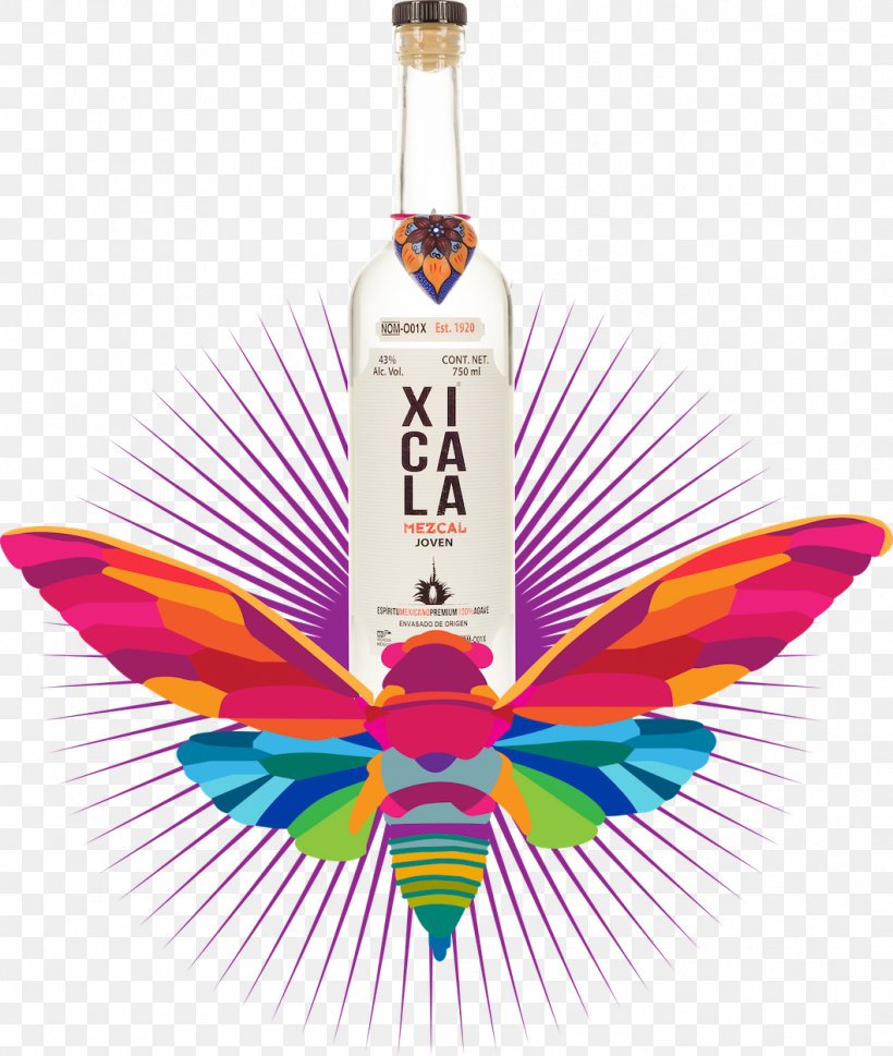 Liqueur Mezcal Vodka Liquor Distillation, PNG, 1059x1252px, Liqueur, Agave, Agave Angustifolia, Alcoholic Beverage, Bottle Download Free
