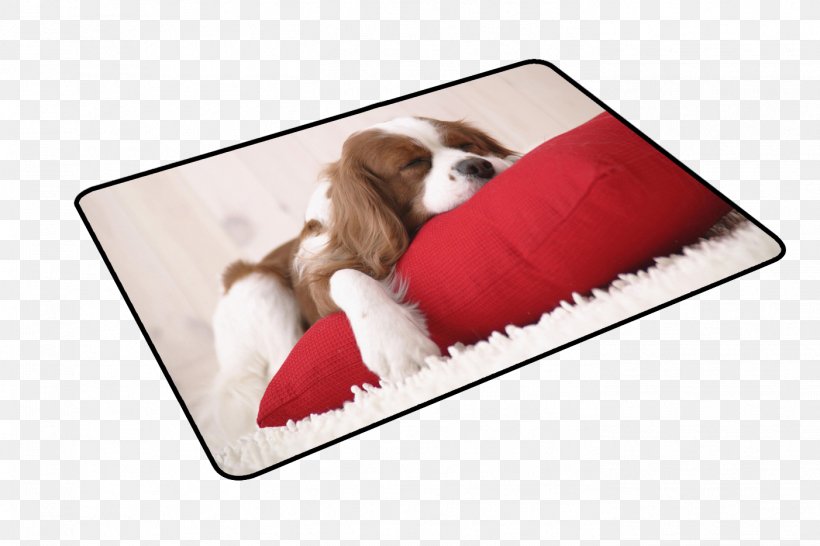 Computer Mouse Mousepad Paper Mat, PNG, 1402x934px, Computer Mouse, Carnivoran, Cavalier King Charles Spaniel, Computer, Computer Hardware Download Free