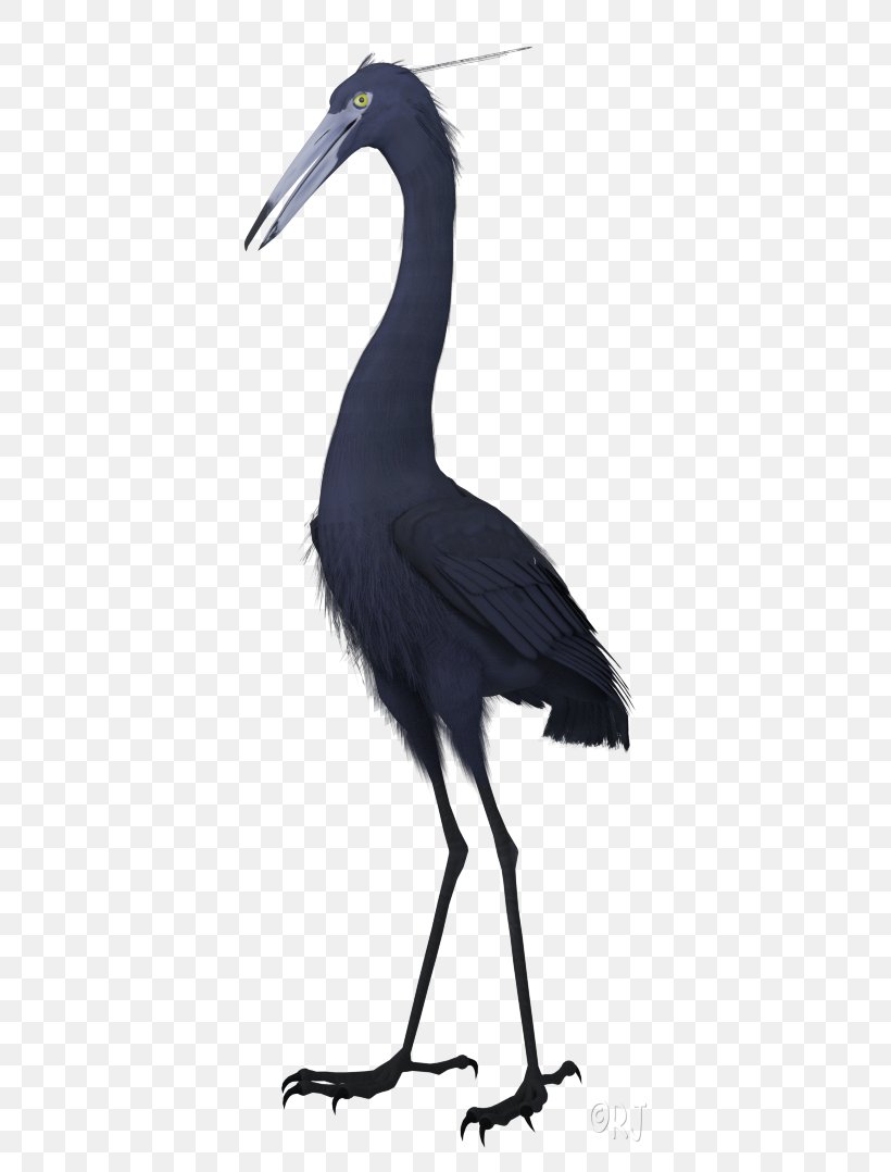 Crane Bird, PNG, 425x1078px, Egret, Beak, Bird, Bit, Crane Download Free