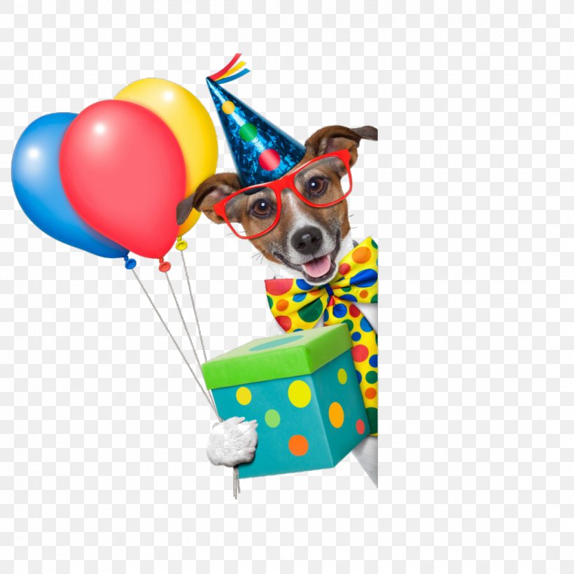 Dachshund Stock Photography Birthday IStock Image, PNG, 1080x1080px, Dachshund, Balloon, Birthday, Dog, Istock Download Free