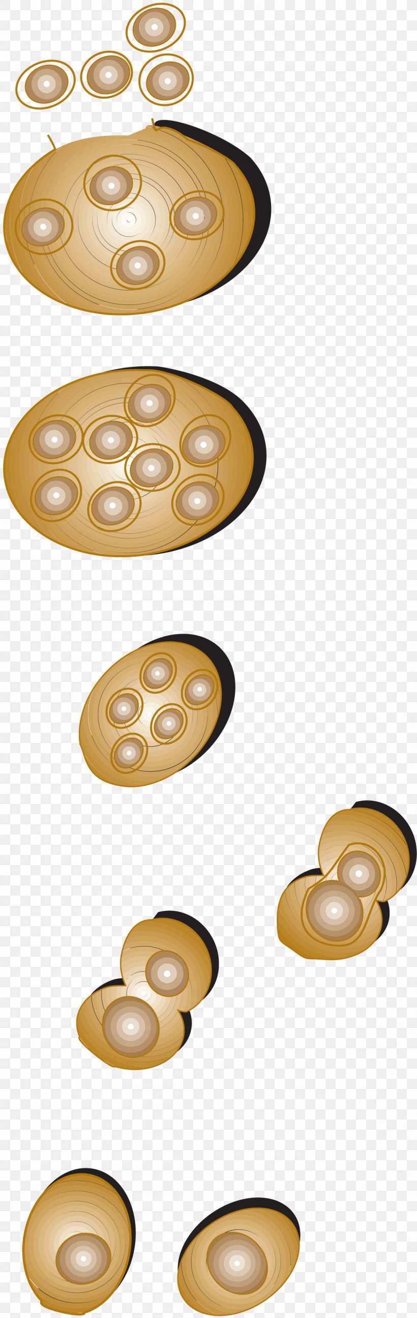 Yeast Microbiology Bacteria Budding Microscope, PNG, 1200x3791px, Yeast, Antonie Van Leeuwenhoek, Bacteria, Brass, Budding Download Free