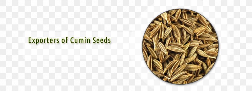 Cumin Export Ingredient Seed, PNG, 960x350px, Cumin, Business, Central Processing Unit, Commodity, Distribution Download Free