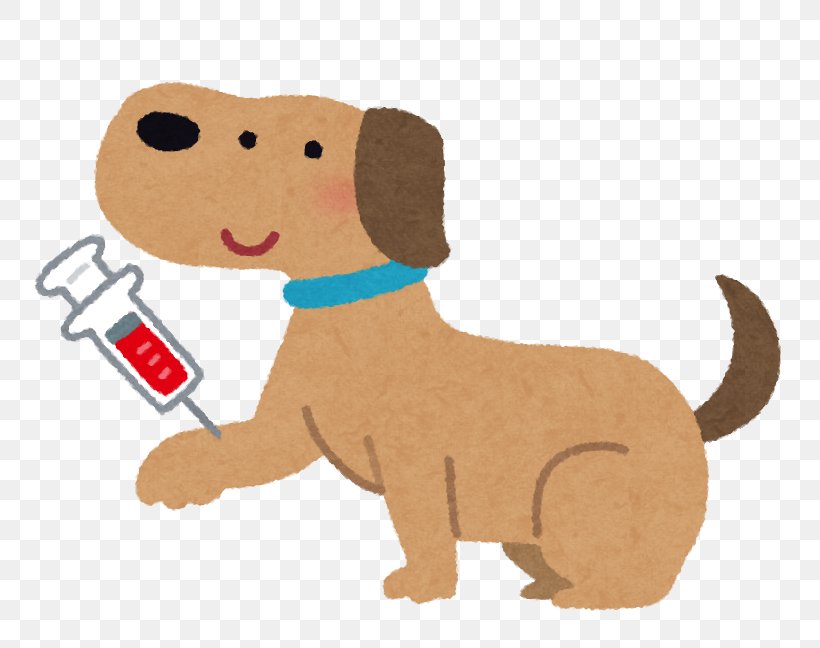 Dog Cat Veterinarian Blood Test Filariasis, PNG, 763x648px, Dog, Blood, Blood Test, Carnivoran, Cat Download Free