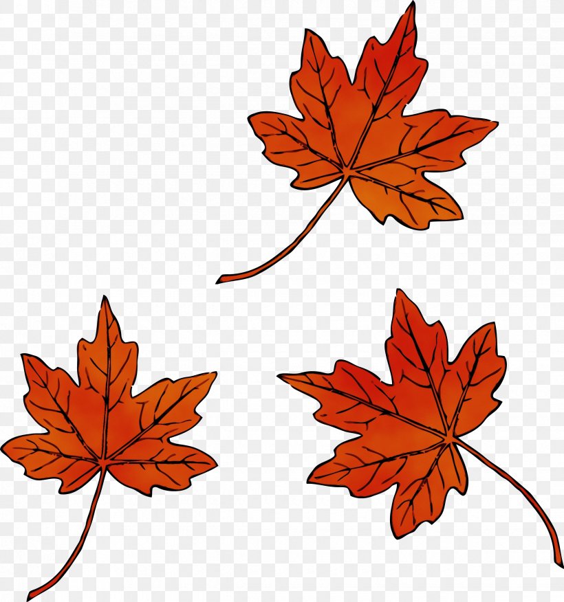 Watercolor Flower Background, PNG, 2450x2618px, Watercolor, Autumn, Autumn Leaf Color, Black Maple, Blog Download Free