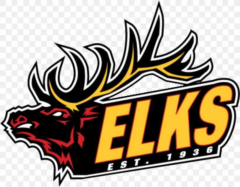 Elk River High School Sport Benevolent And Protective Order Of Elks Hockey American Football, PNG, 2048x1598px, Elk River High School, American Football, Artwork, Brand, Elk River Download Free