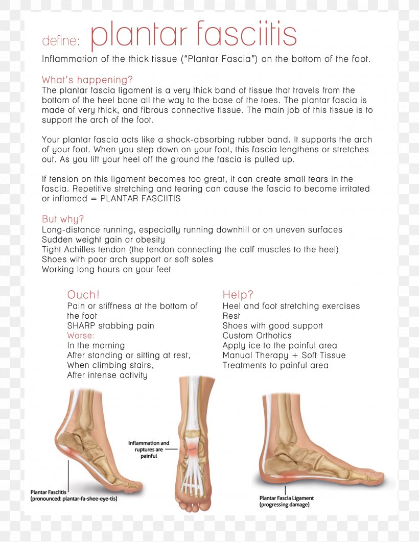 Plantar Fasciitis Plantar Fascia Sole Calcaneal Spur, PNG, 2550x3300px, Watercolor, Cartoon, Flower, Frame, Heart Download Free