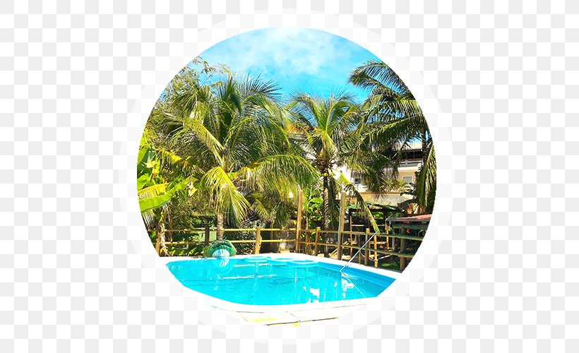 Swimming Pool Leisure Bed And Breakfast Inn Water, PNG, 500x500px, Swimming Pool, Arecaceae, Arecales, Bed And Breakfast, Caribbean Download Free