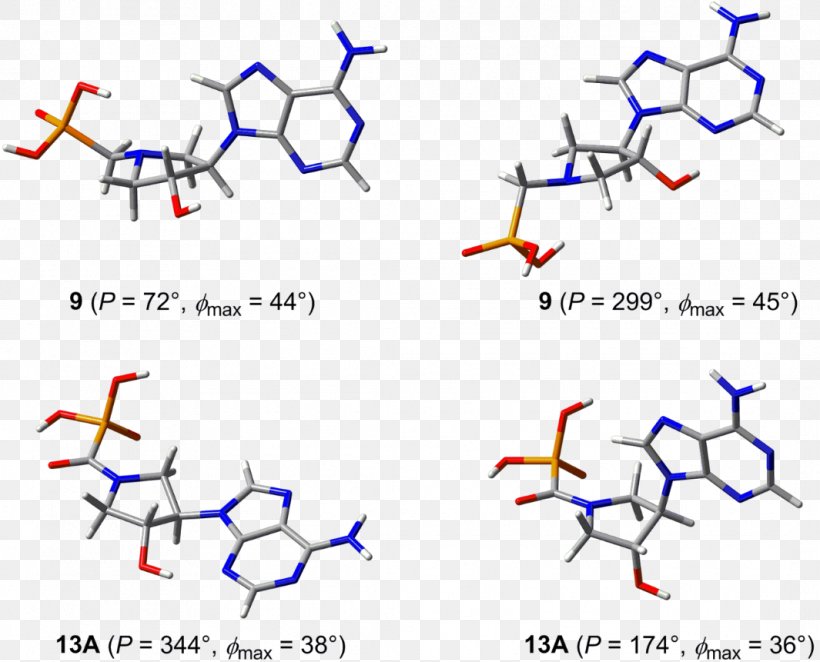 Conformational Isomerism Pyrrolidine Angle Point Nucleotide, PNG, 1065x861px, Conformational Isomerism, Area, Diagram, Gradient, Linearity Download Free