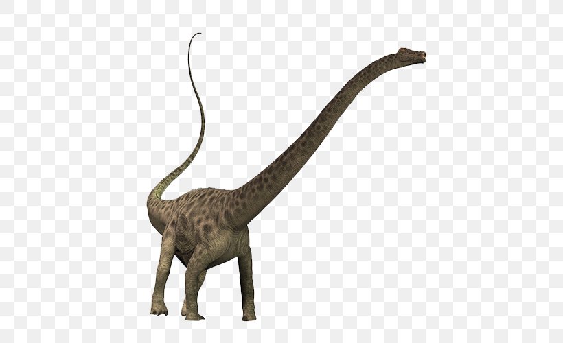 Diplodocus Brachiosaurus Dinosaur Puertasaurus Apatosaurus, PNG, 500x500px, Diplodocus, Animal Figure, Apatosaurus, Aucasaurus, Big Cats Download Free
