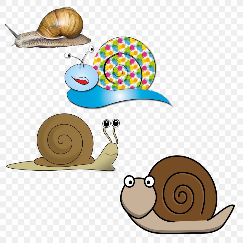 France Snail Illustration, PNG, 2035x2035px, France, Animal, Drawing, Invertebrate, Mollusc Shell Download Free