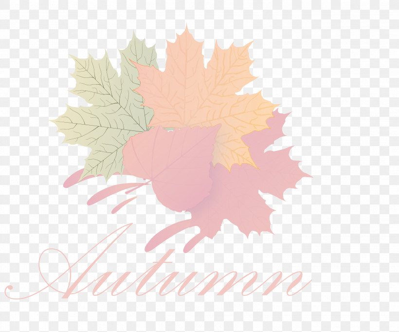 Hello Autumn Welcome Autumn Hello Fall, PNG, 2999x2497px, Hello Autumn, Cartoon, Hello Fall, Leaf, Lens Flare Download Free