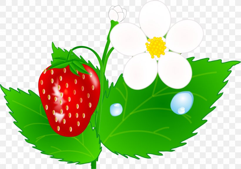 Strawberry Shortcake Fruit Clip Art, PNG, 1920x1352px, Strawberry, Berry, Food, Fragaria, Fruit Download Free