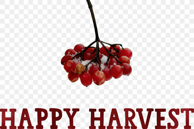Berry Cherry Superfood Fruit, PNG, 3000x2007px, Happy Harvest, Berry, Cherry, Fruit, Harvest Time Download Free