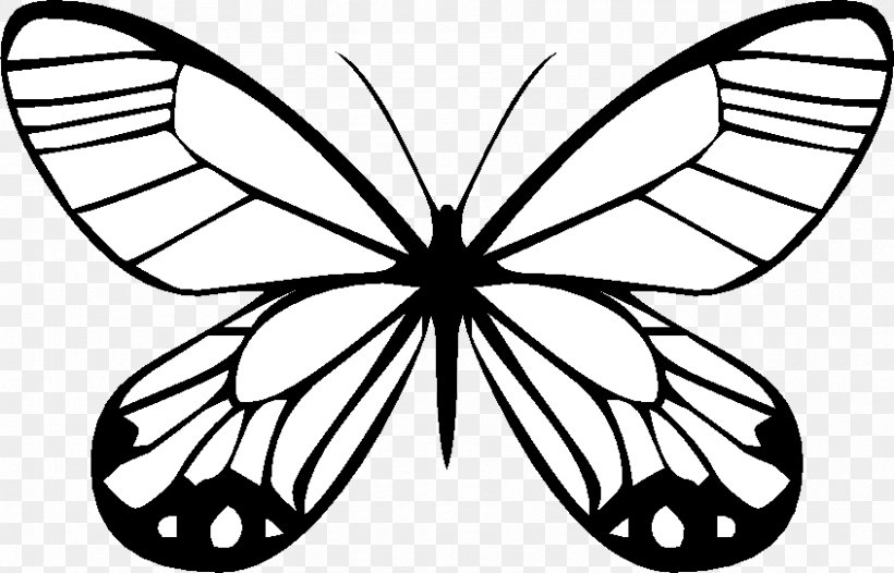 Butterfly Drawing Traveling Butterflies Coloring Book, PNG, 845x543px, Butterfly, Art, Artwork, Black And White, Brush Footed Butterfly Download Free