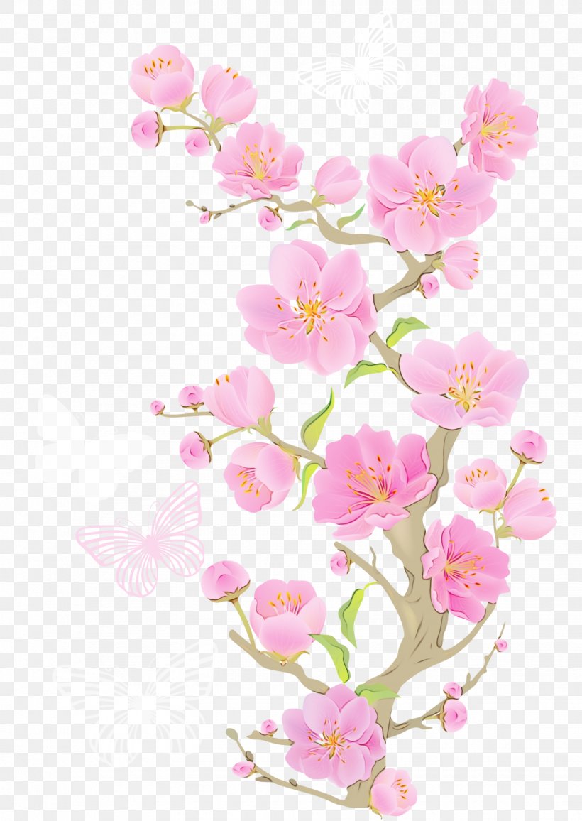 Cherry Blossom Cartoon, PNG, 1732x2442px, Cherry Blossom, Blossom, Branch, Cherries, Cut Flowers Download Free