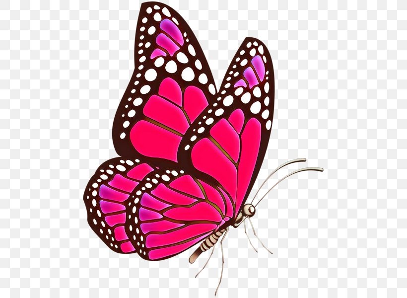 Monarch Butterfly, PNG, 489x600px, Cartoon, Brushfooted Butterfly, Butterfly, Insect, Magenta Download Free