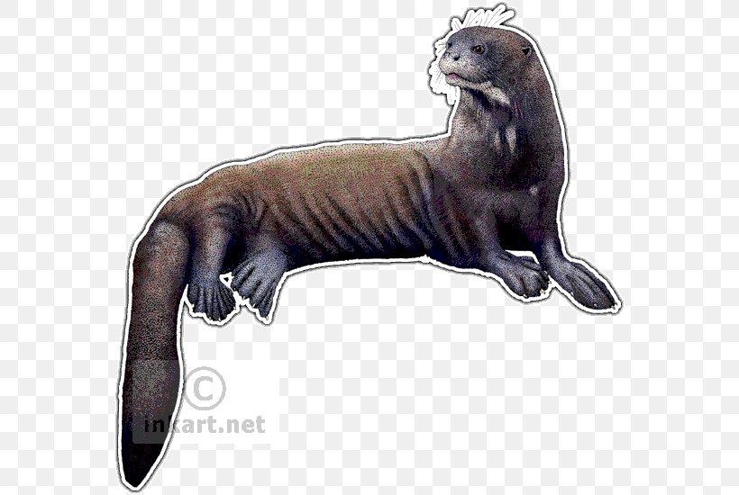 Sea Otter Weasels Giant Otter Drawing, PNG, 568x550px, Otter, Animal, Art, Carnivoran, Cat Like Mammal Download Free