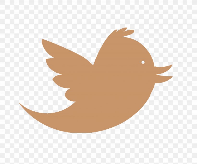Bird Logo Business, PNG, 5423x4541px, Bird, Advertising, Beak, Birds, Brand Download Free