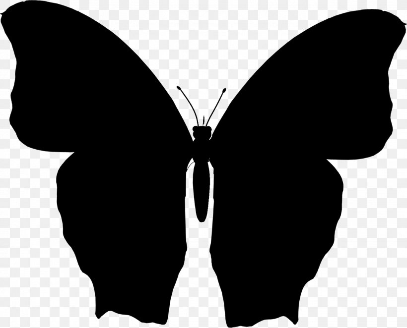 Brush-footed Butterflies Clip Art Silhouette M. Butterfly, PNG, 1443x1166px, Brushfooted Butterflies, Blackandwhite, Brushfooted Butterfly, Butterfly, Insect Download Free