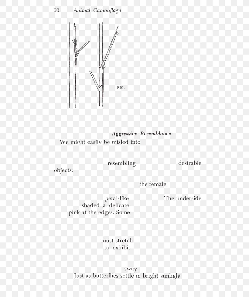 Document Line Angle Brand, PNG, 700x980px, Document, Area, Black And White, Brand, Diagram Download Free